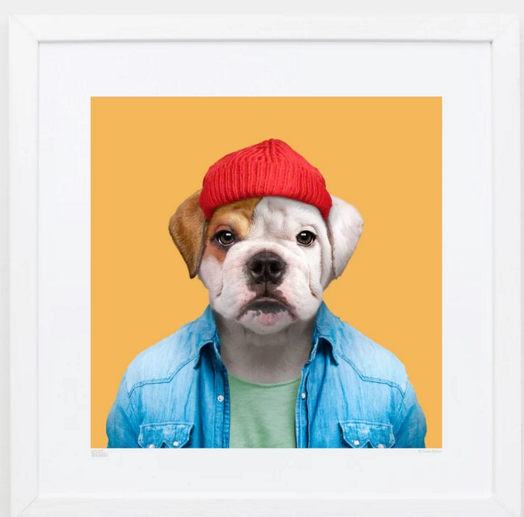 Charlie, the English Bulldog Art Wildlife Yago Partal for We Built This City 2