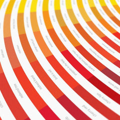 Colour Of Song Art Music Dorothy for We Built This City 3