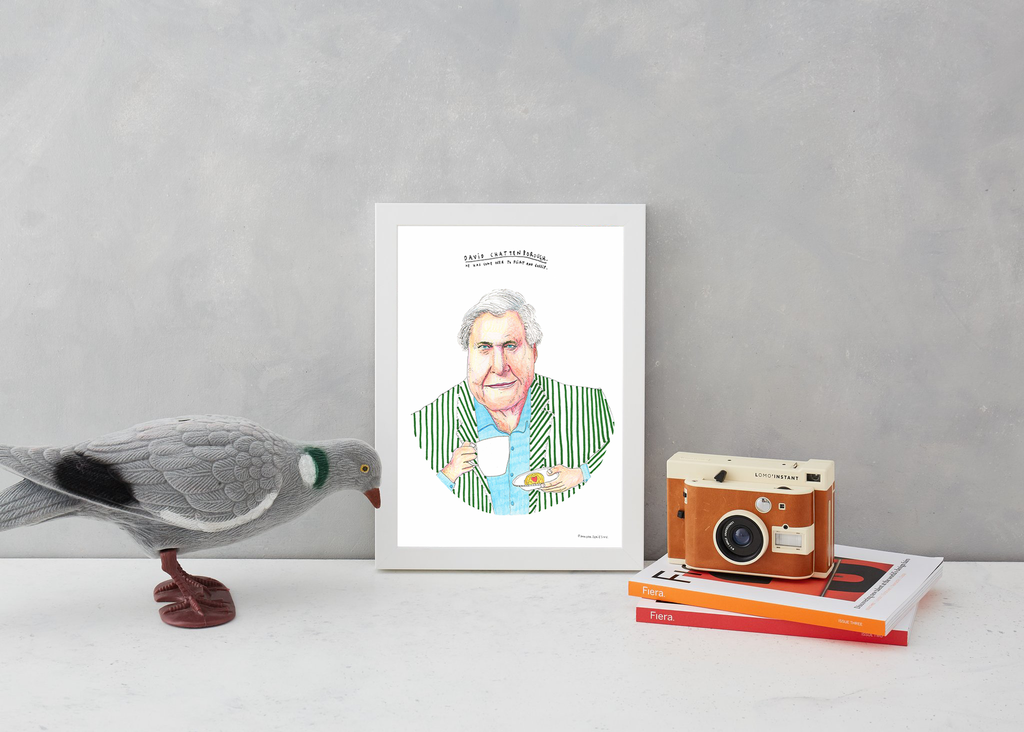 David Chattenborough Art Humour Dan Jamieson for We Built This City 3